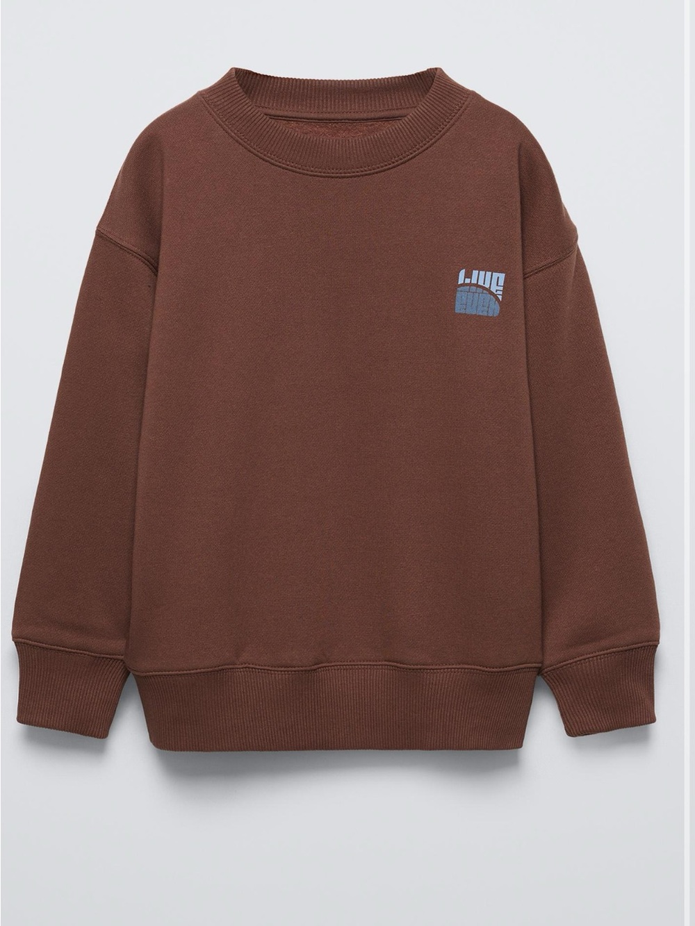 Zara Boy’s Brown Crewneck Sweatshirt
